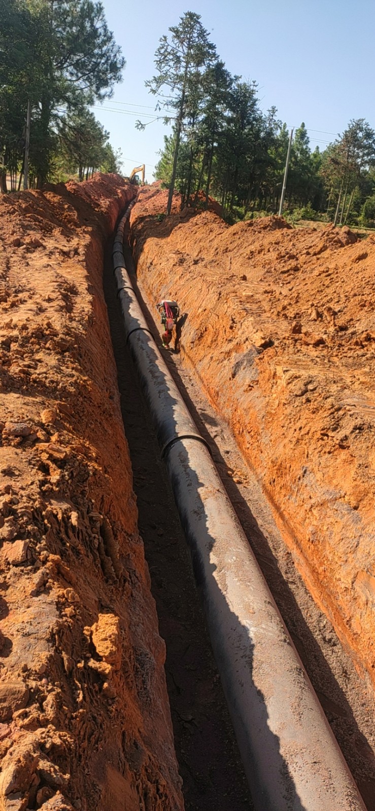 尊龙凯时 - 人生就是搏!