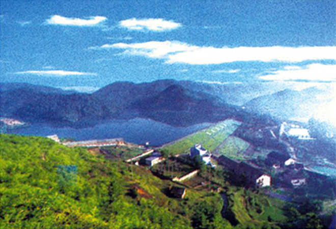 尊龙凯时 - 人生就是搏!