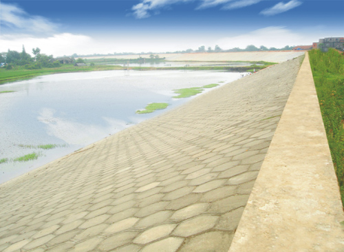 尊龙凯时 - 人生就是搏!